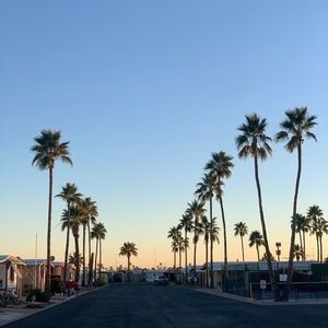 Meet your Posher, Chip